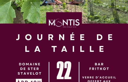 Journée de la taille au vignoble des Montis (Ster - Stavelot)